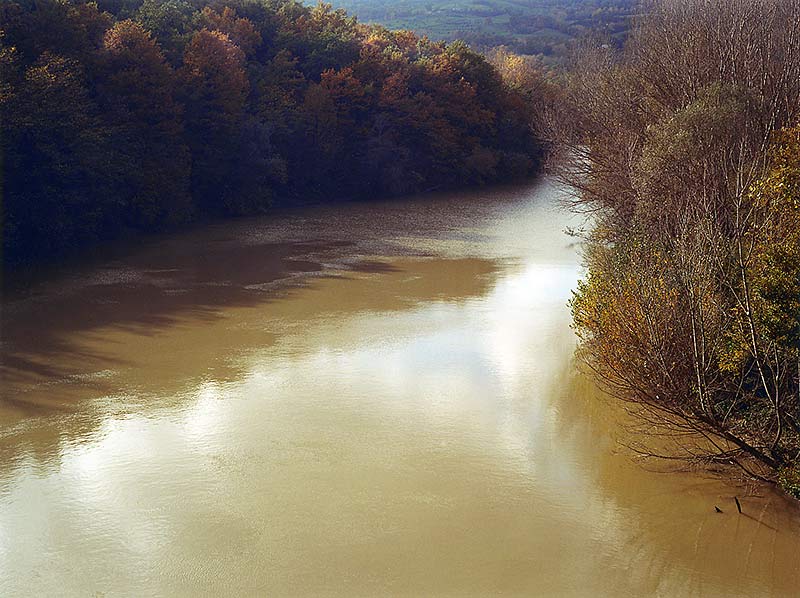 tiber