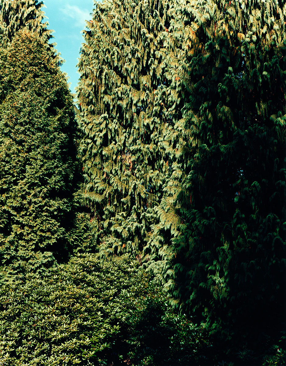 lemgo_1